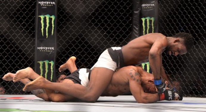 11 Things you Really Need to Know about Mixed Martial Arts